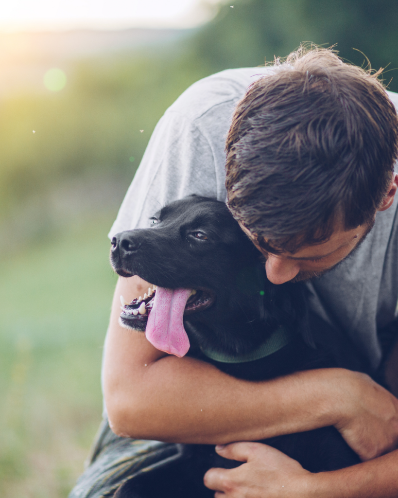 quand et où faire ses adieux à son animal?