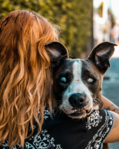 que faire quand la vue de son animal baisse ?